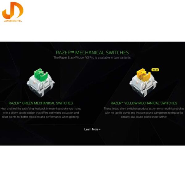 کیبورد مخصوص بازی ریزر مدلRAZER Keyboard Blackwidow V3 Pro GreenSwitch (گارانتی 18 ماهه ایستا) - Image 13