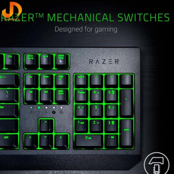 کيبورد گیمینگ ريزر Razer BlackWidow Essential Green Switch(گارانتی 18 ماه گرین) - Image 4